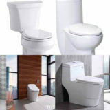 best dual flush toilet